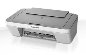 Canon PIXMA MG2450 printer