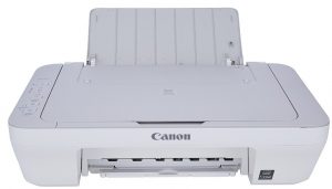 Canon MG2410 Printer