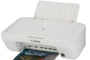 Canon MG2960 Printer